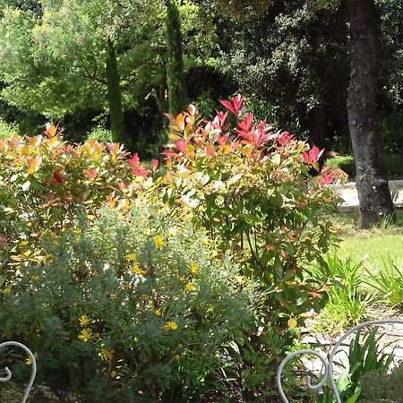 La Louvetiere Ξενοδοχείο Roquefort-les-Pins Εξωτερικό φωτογραφία